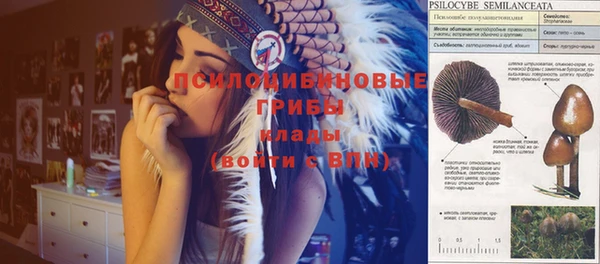 таблы Арсеньев