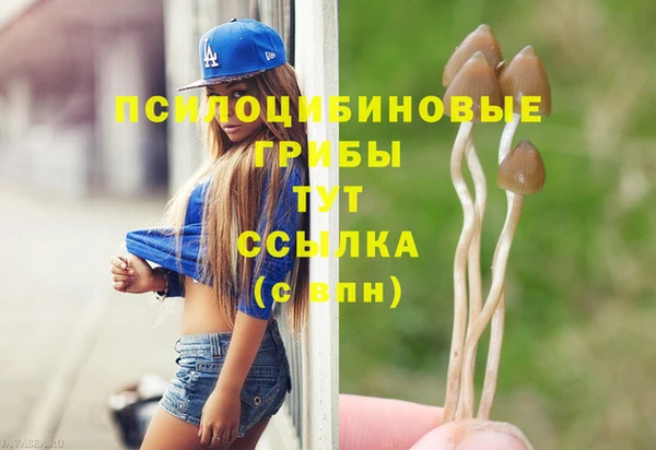 таблы Арсеньев
