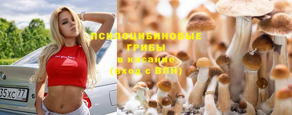 кокаин колумбия Алексин