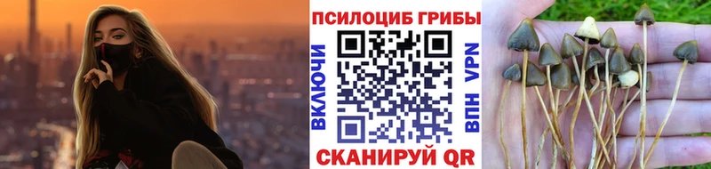 Галлюциногенные грибы ЛСД  Качканар 